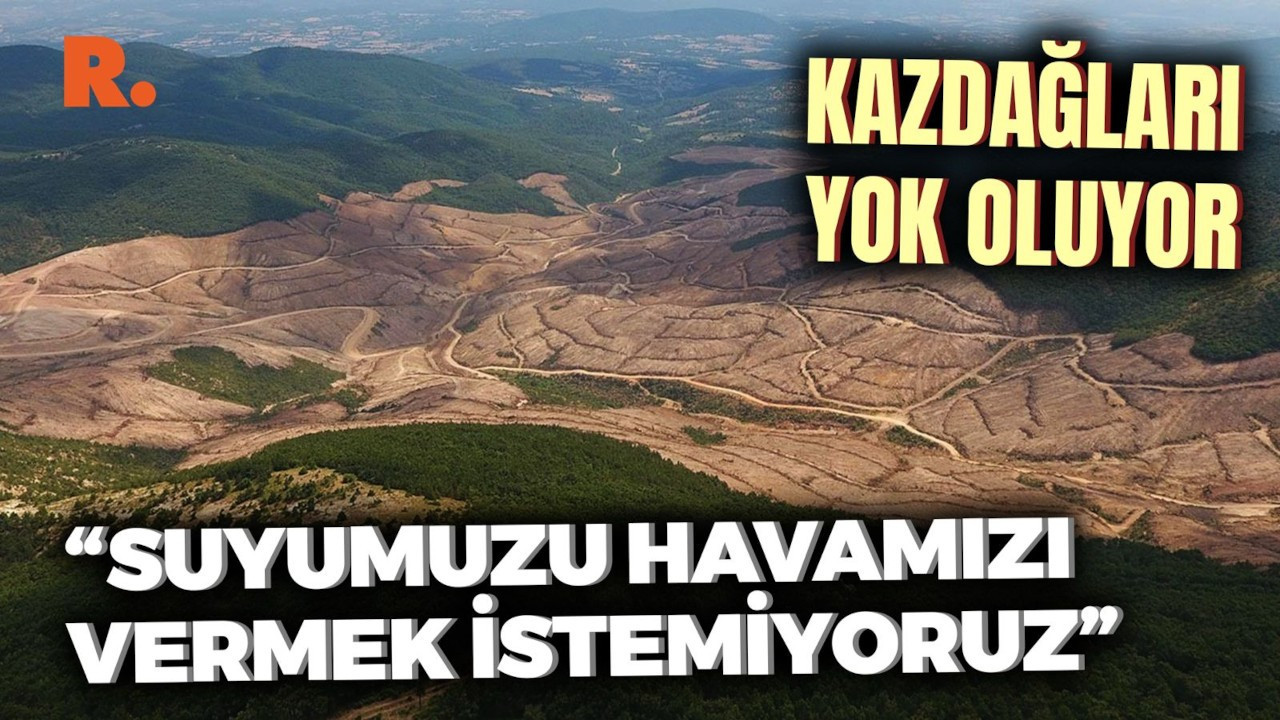 Kazdağları’nın yardım çığlığı: Bizim gidecek başka yerimiz yok